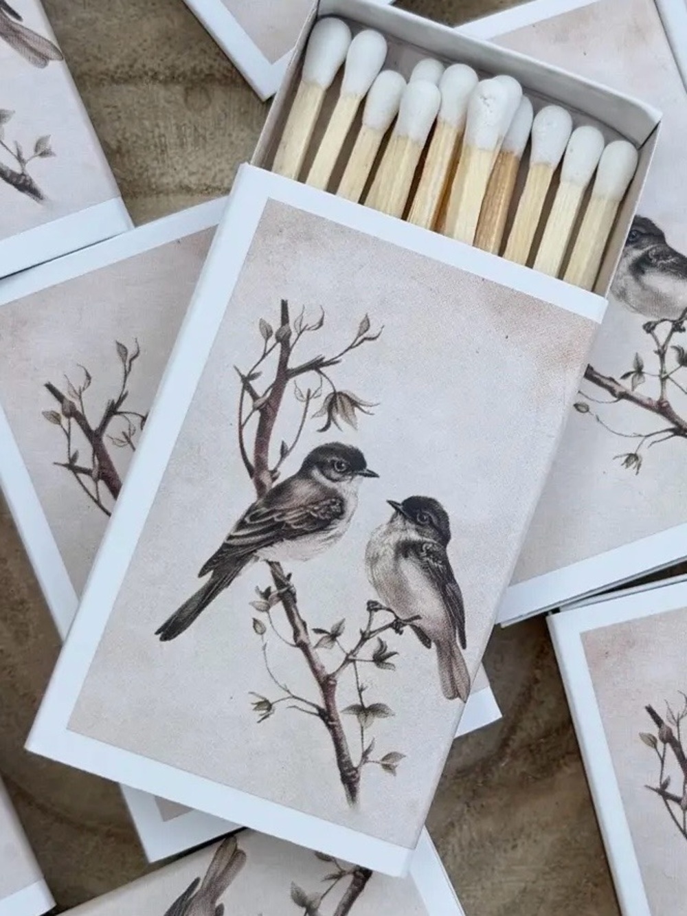 Bird Illustration Matchbox Set - Neutral Tones New in Box
